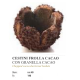 CESTINI FROLLA CACAO CON GRANELLA DI CACAO COSULETE DE CACAO CU DECOR GRANULAT DE CACAO D40MM 140 BUCATI PER CUTIE